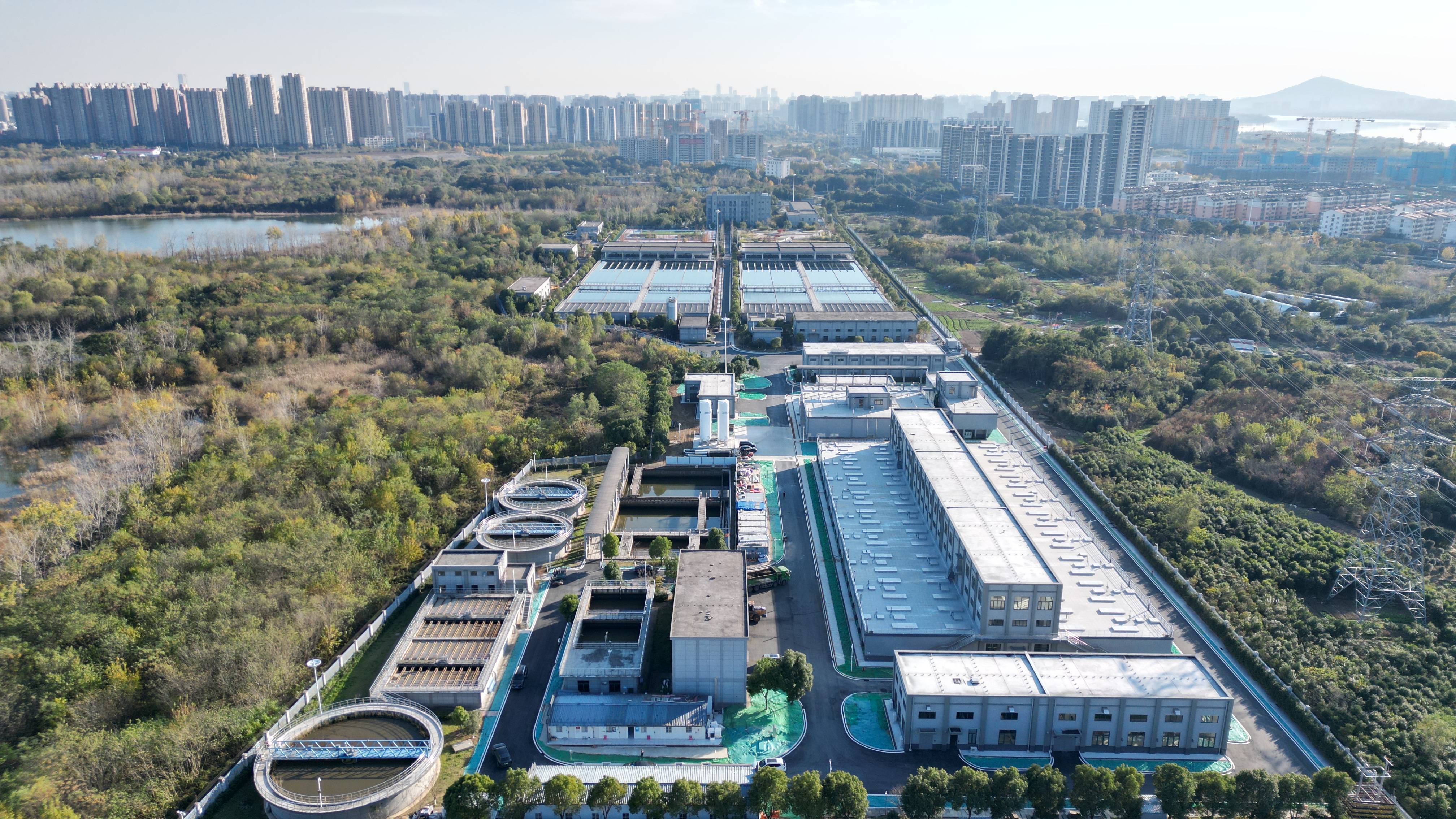 秦皇岛市合肥专业企业价值增长(合肥市重点企业产业目录)