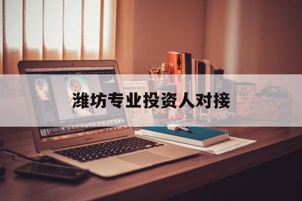 秦皇岛市潍坊专业投资人对接(潍坊专业投资人对接中心)