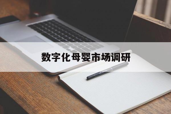 秦皇岛市数字化母婴市场调研(数字化母婴市场调研报告)
